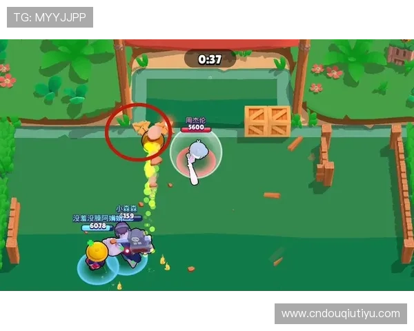 斗球app官网在线观看用户指南，快速掌握在线观看足球比赛的实用技巧