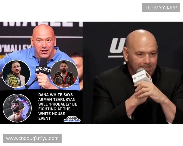 斗球体育官网ufc带你领略最精彩的格斗赛事精彩瞬间