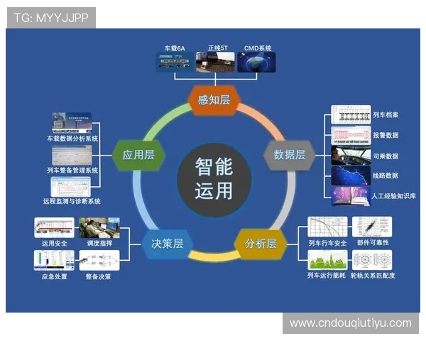 斗球官方网站入口手机版用户体验优化措施，提升您的使用满意度