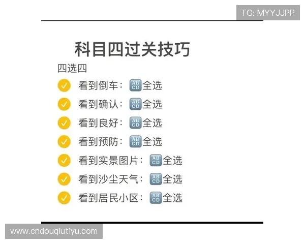 斗球电脑端下载教程详细操作流程，助你顺利完成软件安装与设置