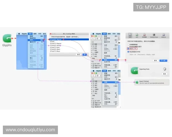 如何在电脑上顺利下载斗球极速版电脑版，详细步骤与注意事项