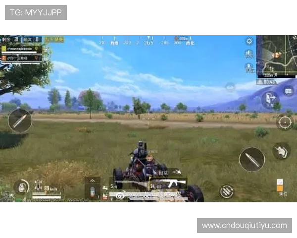 苹果手机用户如何安全下载斗球体育app手机版，保障个人信息与账号安全